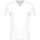 Kariban T-shirt coton bio col V homme