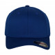 Flexfit Fitted Baseball Cap