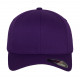 Flexfit Fitted Baseball Cap