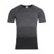 Stedman Active Seamless Raglan Flow Men