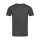 Stedman Finest Cotton-T Men