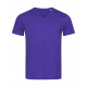Stedman Ben V-neck