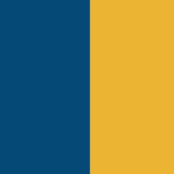 Royal Blue / Yellow
