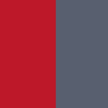 Red / Lightgrey