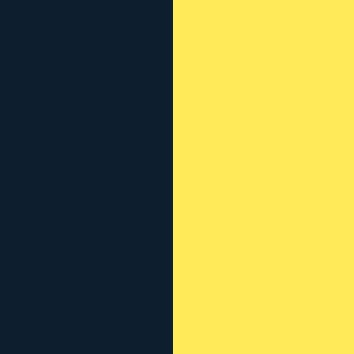 Navy / yellow
